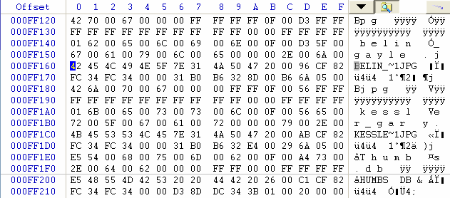 Root Directory Example