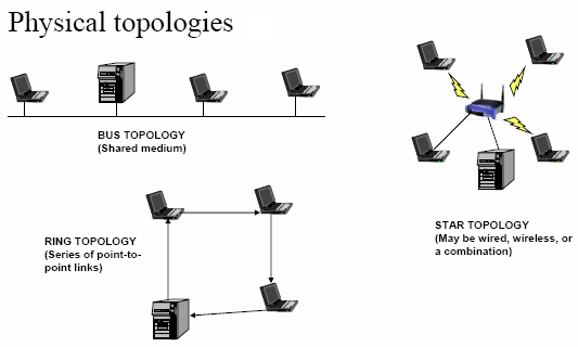 LAN Physical Topologies