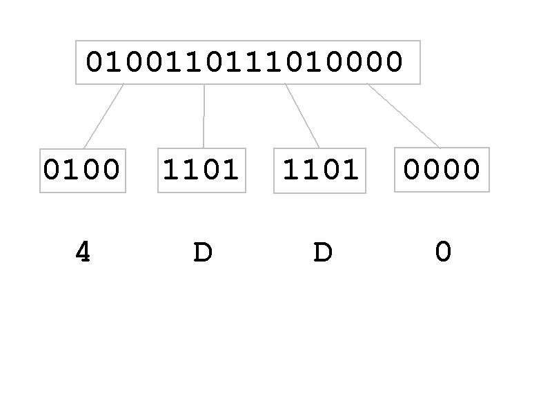 binary number system