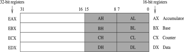 32 64-bit 80x86 assembly language architecture