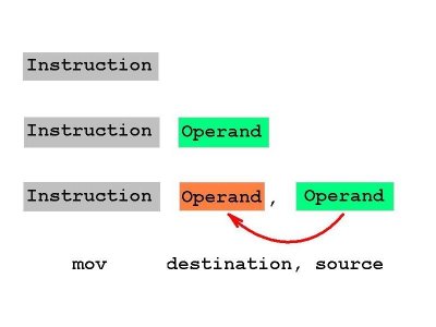 Instruction formats