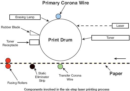 Laser Printer Drum