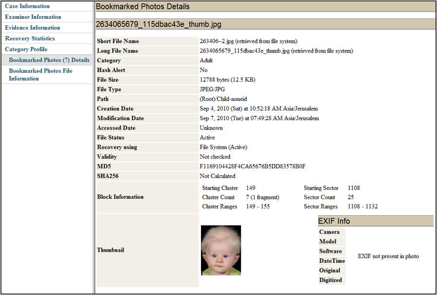 reporting and exporting